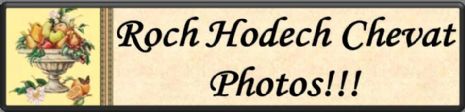 Roch Hodech Chevat image.jpg